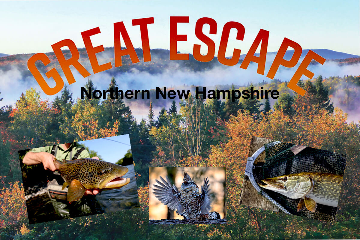 Great Escape: Fall Hunting, Fishing Opportunities in N.H.