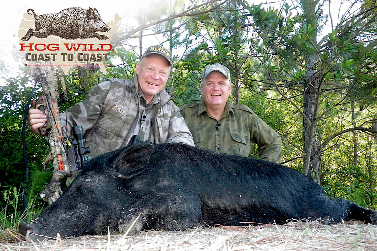 Hog Wild Over Wild Hog Hunting in America