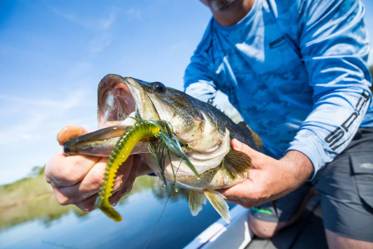 Best New Fishing Lures from ICAST 2022