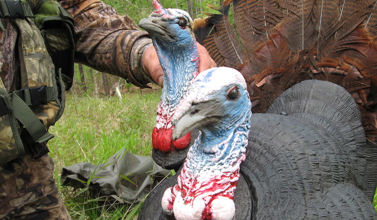 Tennessee Turkey Hunting Outlook 2019