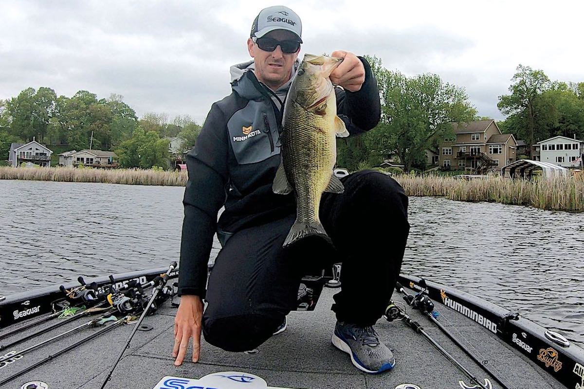 Tried-and-True Bass Jigs Excel No Matter the Weather