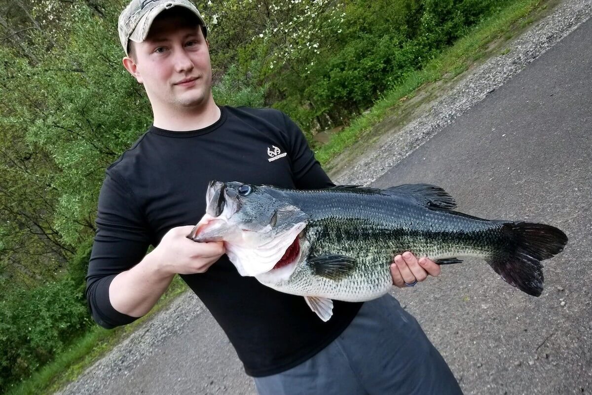 Cash in from the Bank for Spring Bass