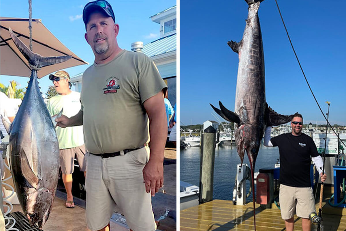 Swordfish, Tuna Records Fall in Maryland