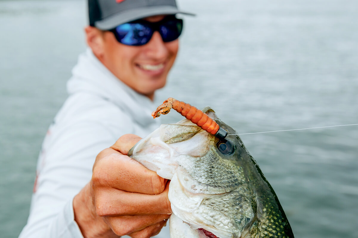 Fishing Tips & Tactics: Small Lures for Big Bites
