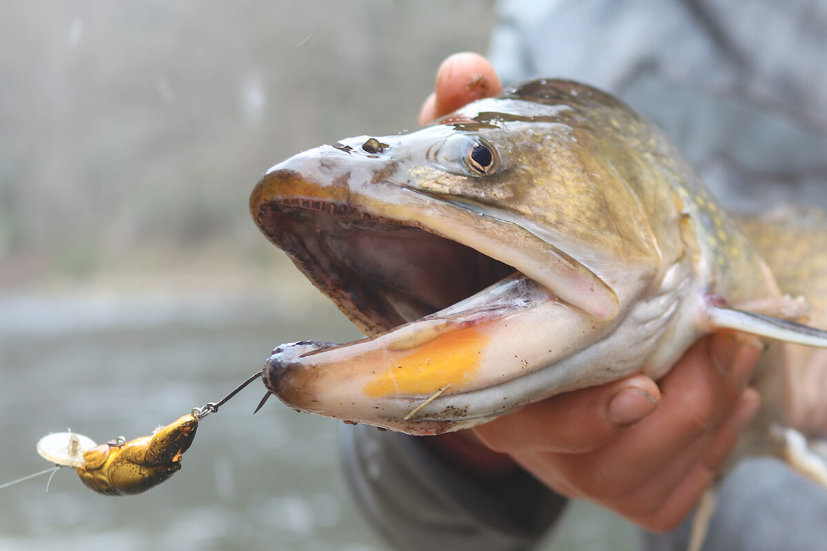 Fishing Tips & Tactics: Small Lures for Big Bites - Game & Fish