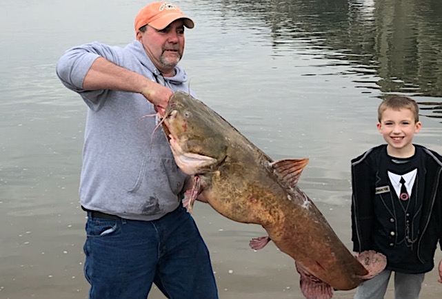 Record Flathead Catfish Reported in PA
