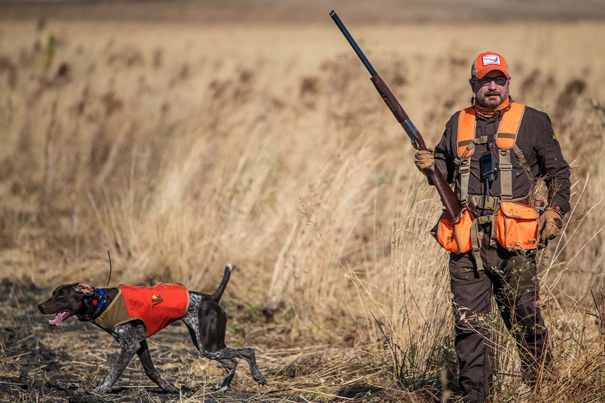 Pheasant Prospects Look to Rebound; Red-Hot Hunting in Some Spots
