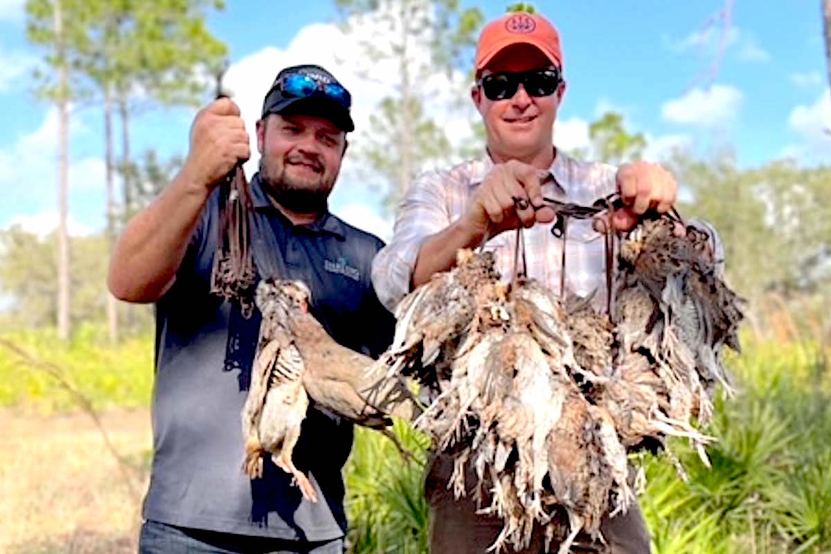 Game Face: The Greatest Quail Guide in the South?