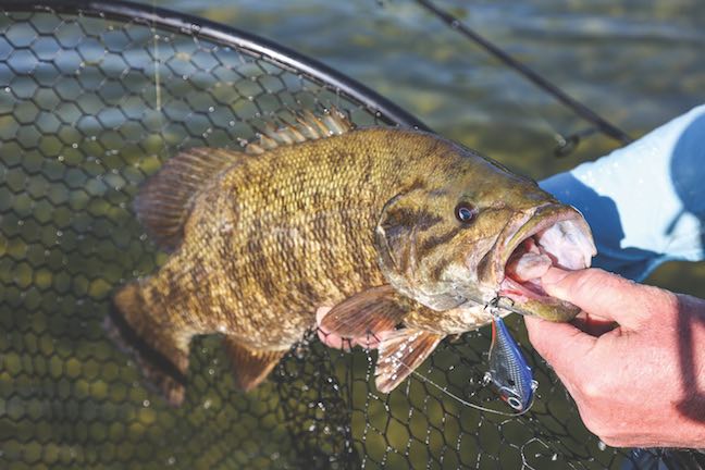 Seven Great Rocky Mountain Fishing Destinations