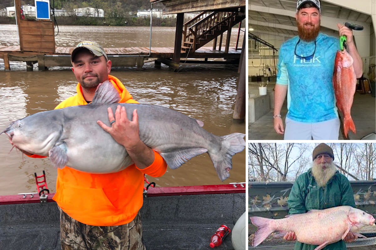 April Brings More State Fishing Records