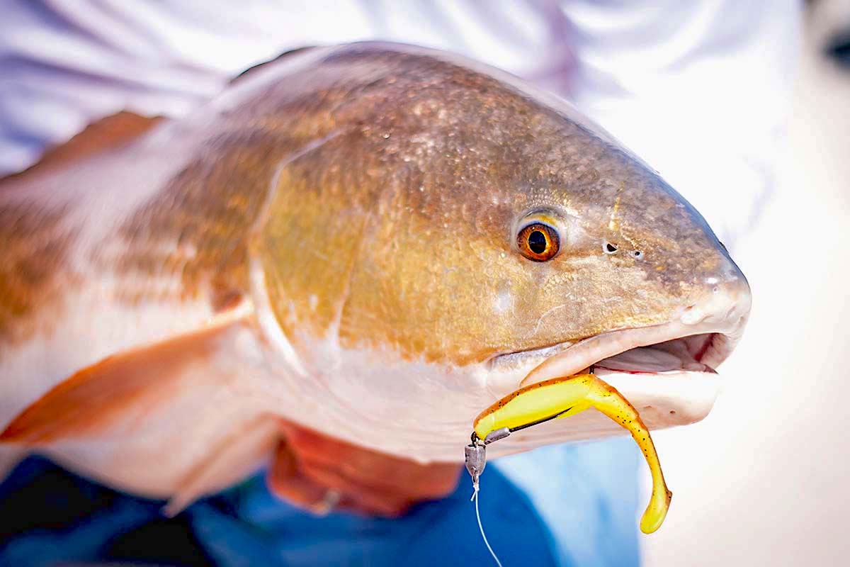 Red-Hot Fishing for Southern Reds