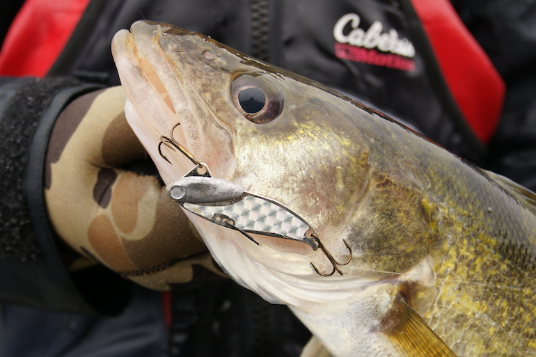 7 Best Late-Season Walleye Rivers in the Northeast and Tips for Success