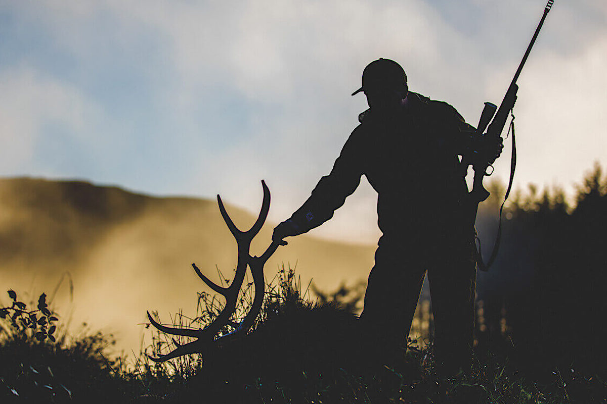Toughest Elk: Big Roosevelt Bulls Aren't Impossible to Find (It Just Seems So)