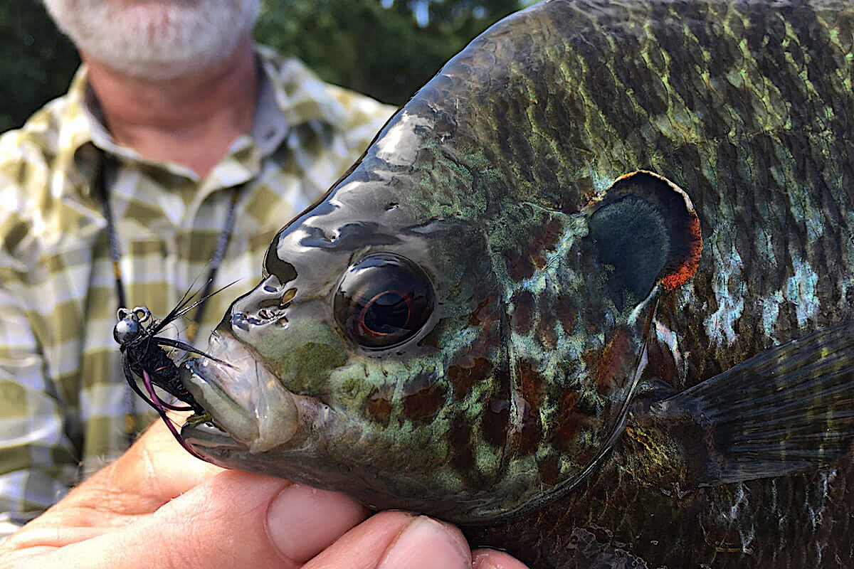 In Illinois it's Prime Fly Tying Season