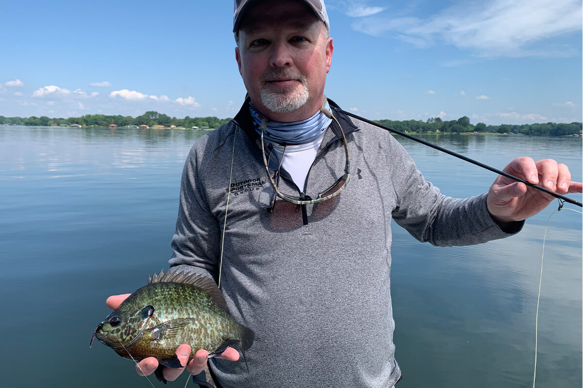 Wilson's Bully's Bluegill Spider - Chartreuse