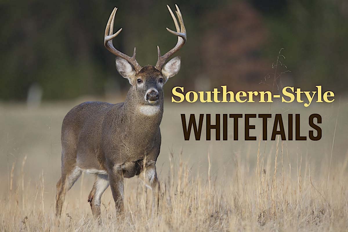 Deer Camp in Dixie: Hunting Whitetails in the Deep South
