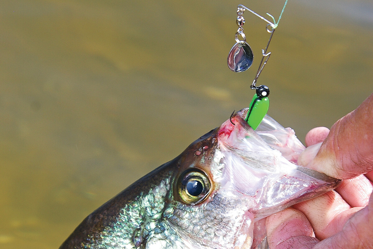 How to Fish Under Spins (Fish Head Spins) for Bass 