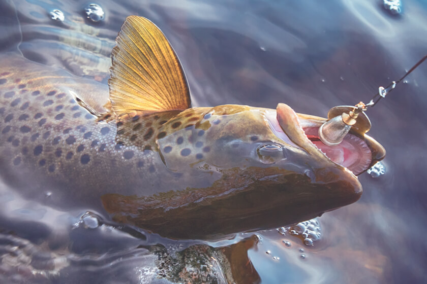Take a Spin with Spinners for Trout, Bass, Walleye & More - Game