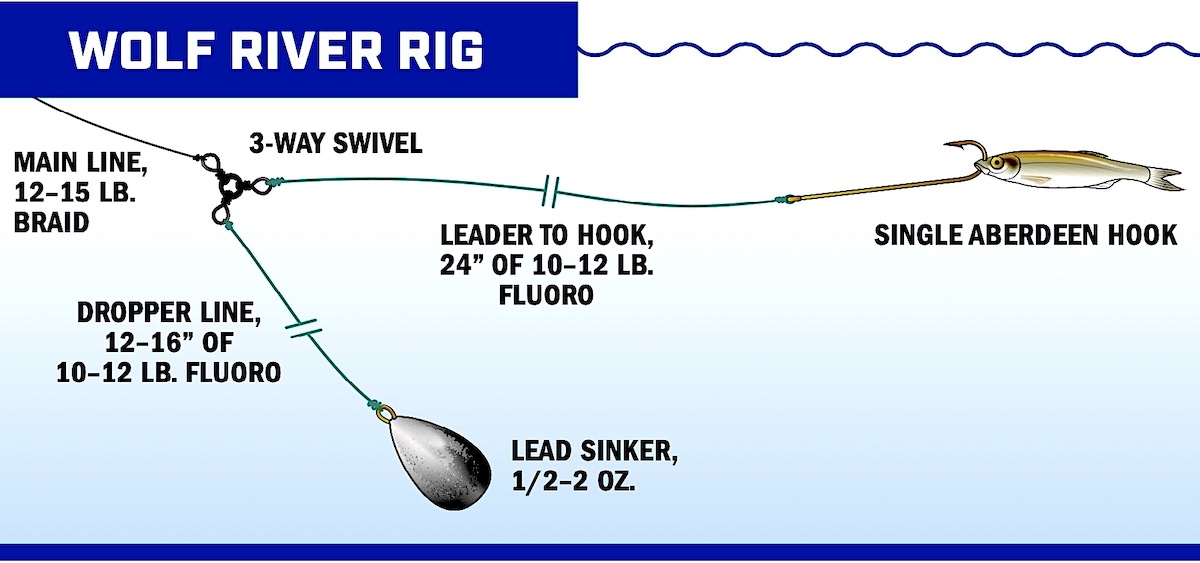 How to rig a Three Way Swivel Rig 