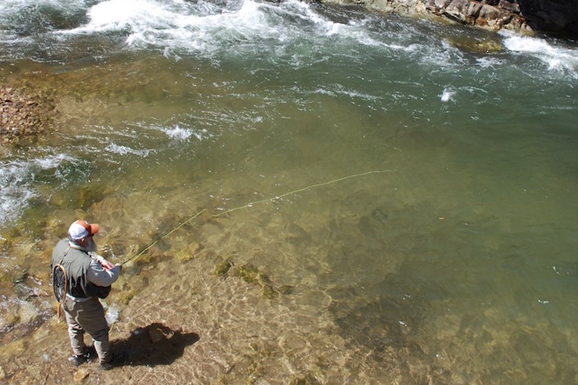 4 Reasons Why Virginia is for Trout Lovers