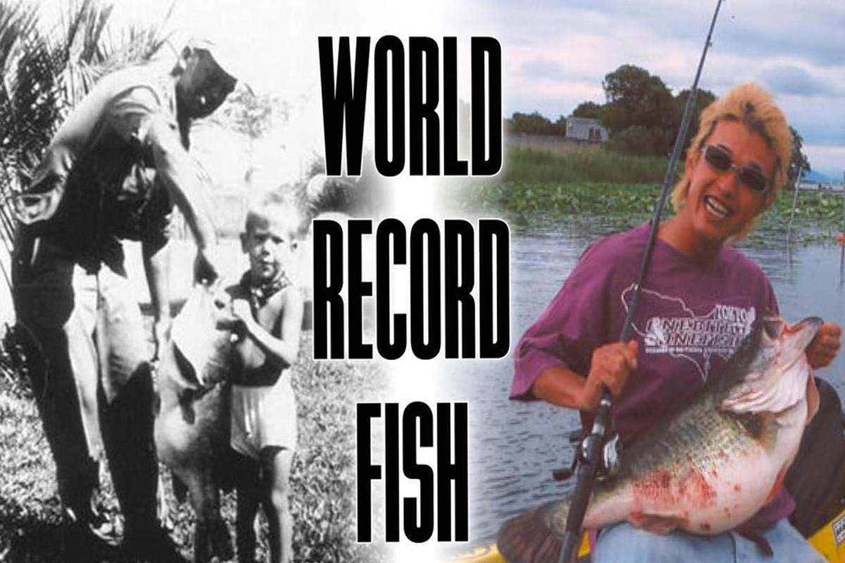 10 Biggest Largemouth Bass World Records Ever - Game & Fish