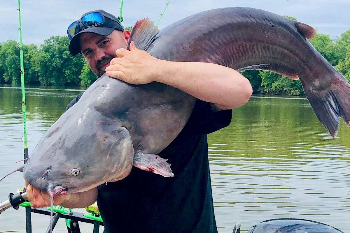 Blue Catfish Record Falls Again in West Virginia