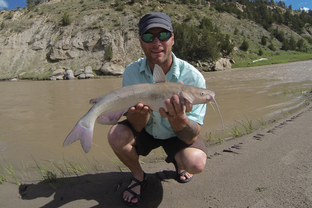 Western Whiskerfish: Trophy Flatheads, Channels, Even Blues - Game & Fish