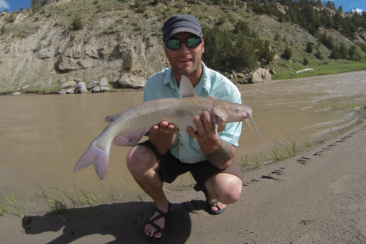 Lake Powell PB channel catfish. : r/catfishing