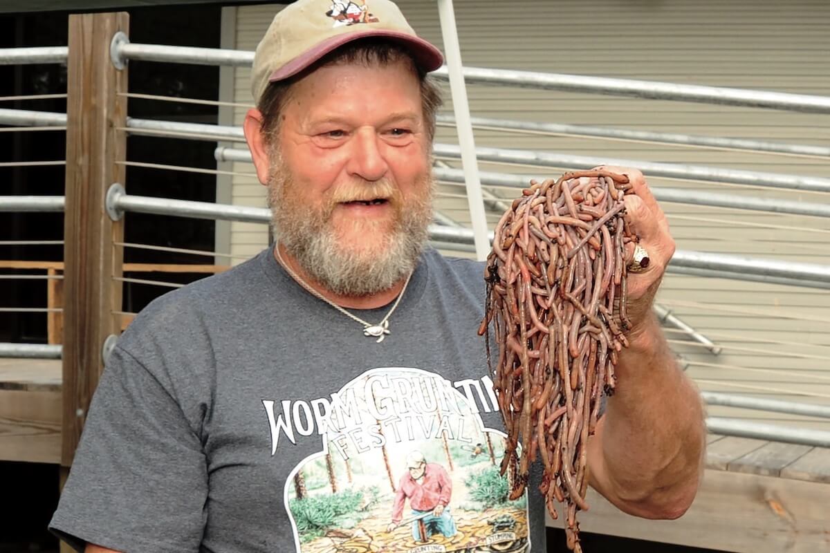DIY: Earthworms Can't Hide When 'Grunters' Are Hunting