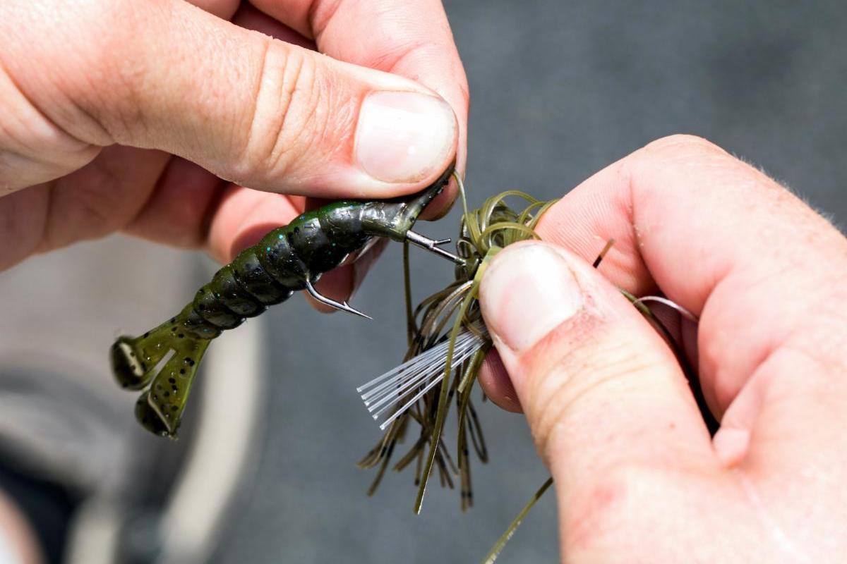 New Fishing Lures for 2022 from Z-Man Fishing