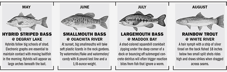 Arkansas Fishing Calendar - Game & Fish