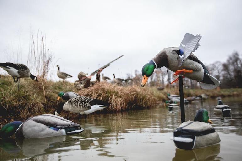Deceive Ducks with Ultra-Realistic Decoys