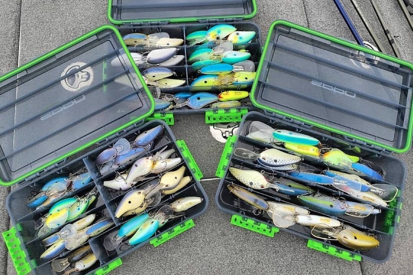 32 Lures, Tactics to Catch Late-Summer Bass - Game & Fish