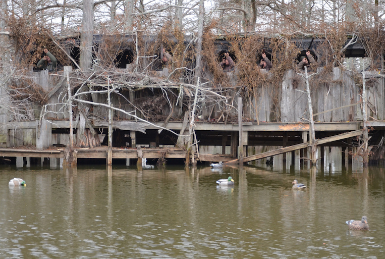 Hunting in the Footsteps of a Waterfowling Legend