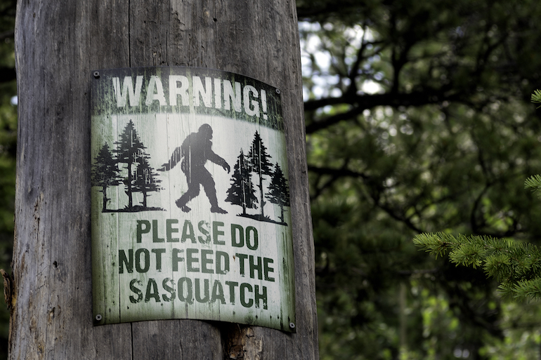 Bill Proposes Bigfoot Hunting Season in Oklahoma