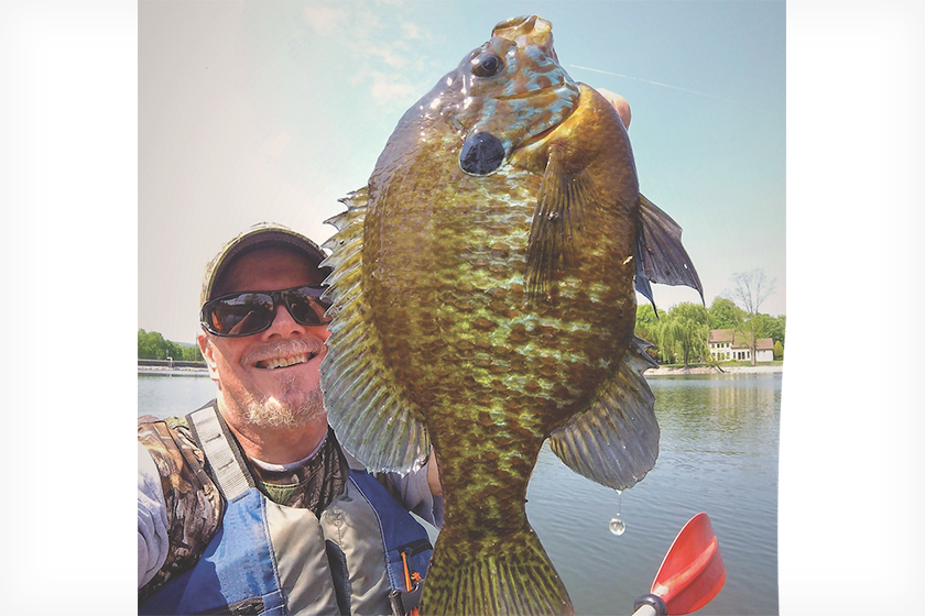 Go Deep to Target the Biggest Bedding Bluegills - Game & Fish