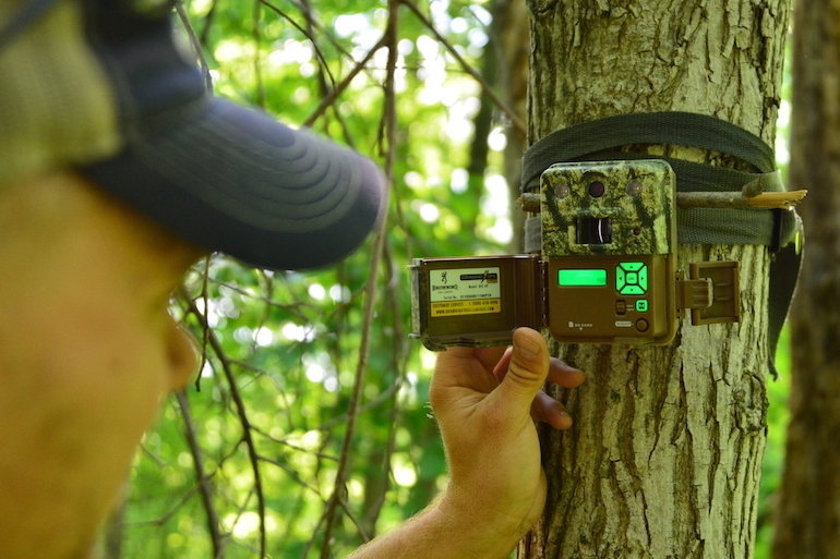 Trail-Camera Strategies For Viewing Backyard Wildlife 