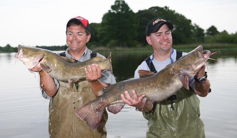 Flathead, Channel or Blue? Pick Your Catfish
