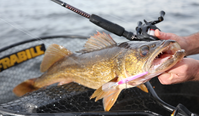 How to Catch Trophy Columbia-Basin Walleyes - Game & Fish