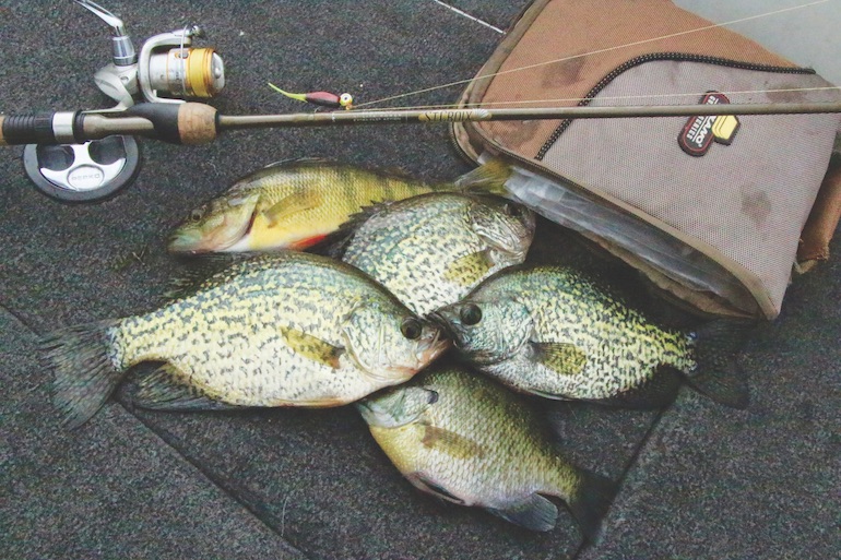 Crappie Fishing Tactics from Pre- to Post-Spawn