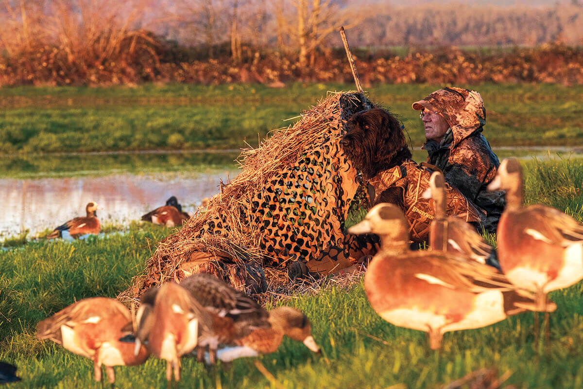 DIY duck blind dog stand