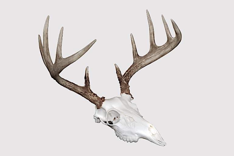 Make Your Own Euro Mount at Home in 4 Steps