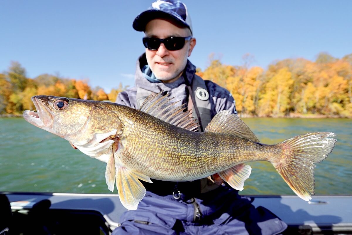 'Eyes of Autumn: 5 Hot Spots for Midwest Walleye