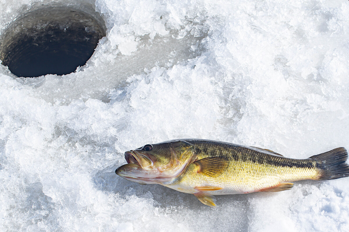Hardwater Bass: Tackle, Tactics & Hotspots in the East