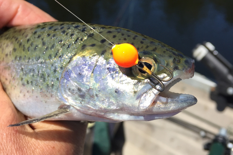 Bobber and Jig fishing 101