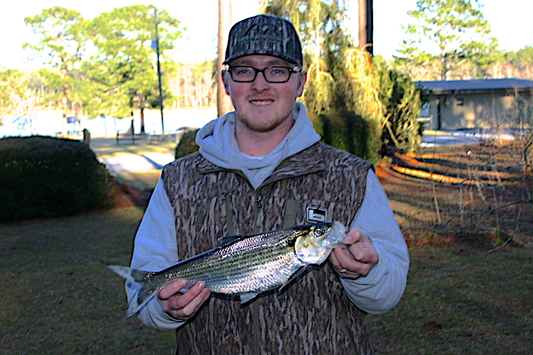 Angler Targets Crappie, Breaks 25-Year-Old Shad Record