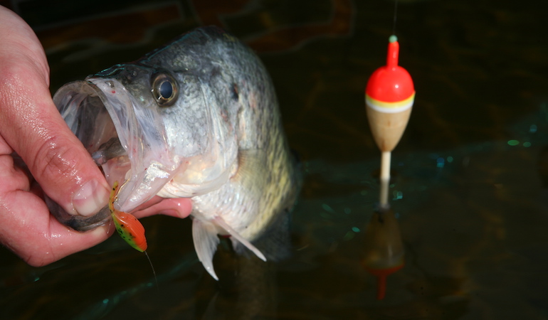 Illinois Spring Crappie Hotspots