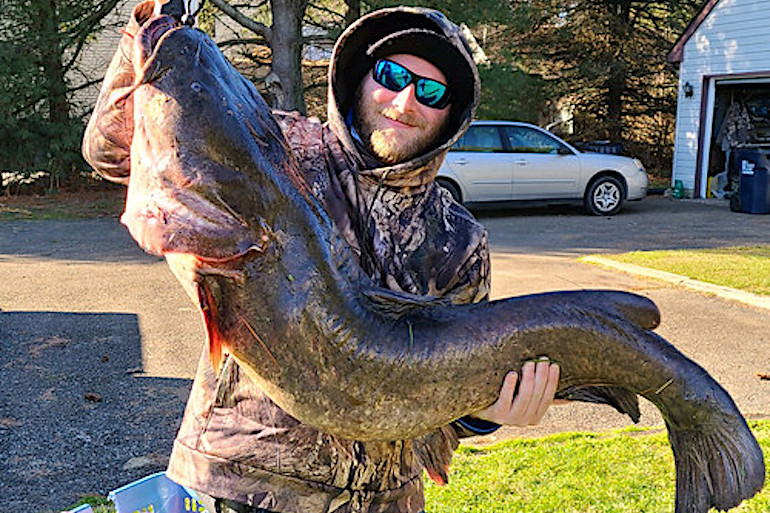 Shore Angler Sets Maryland Flathead Catfish Record