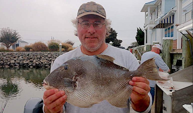 Maryland Record Gray Triggerfish Caught