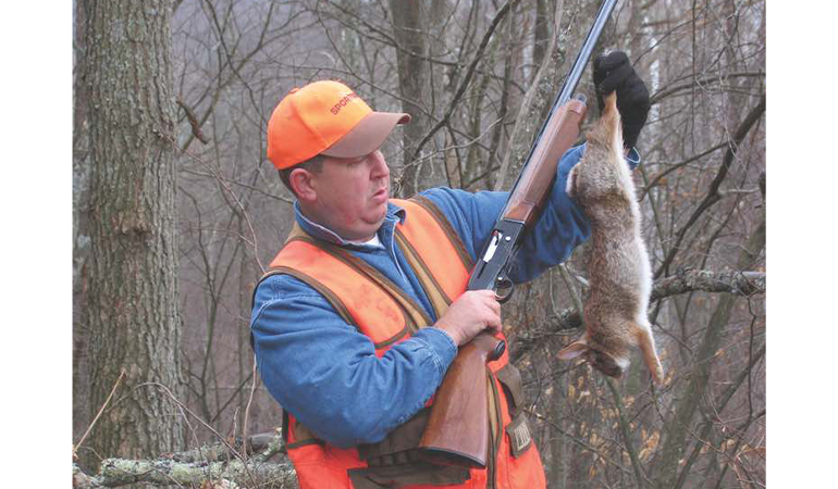 Use a Small Dog for Tracking Rabbits